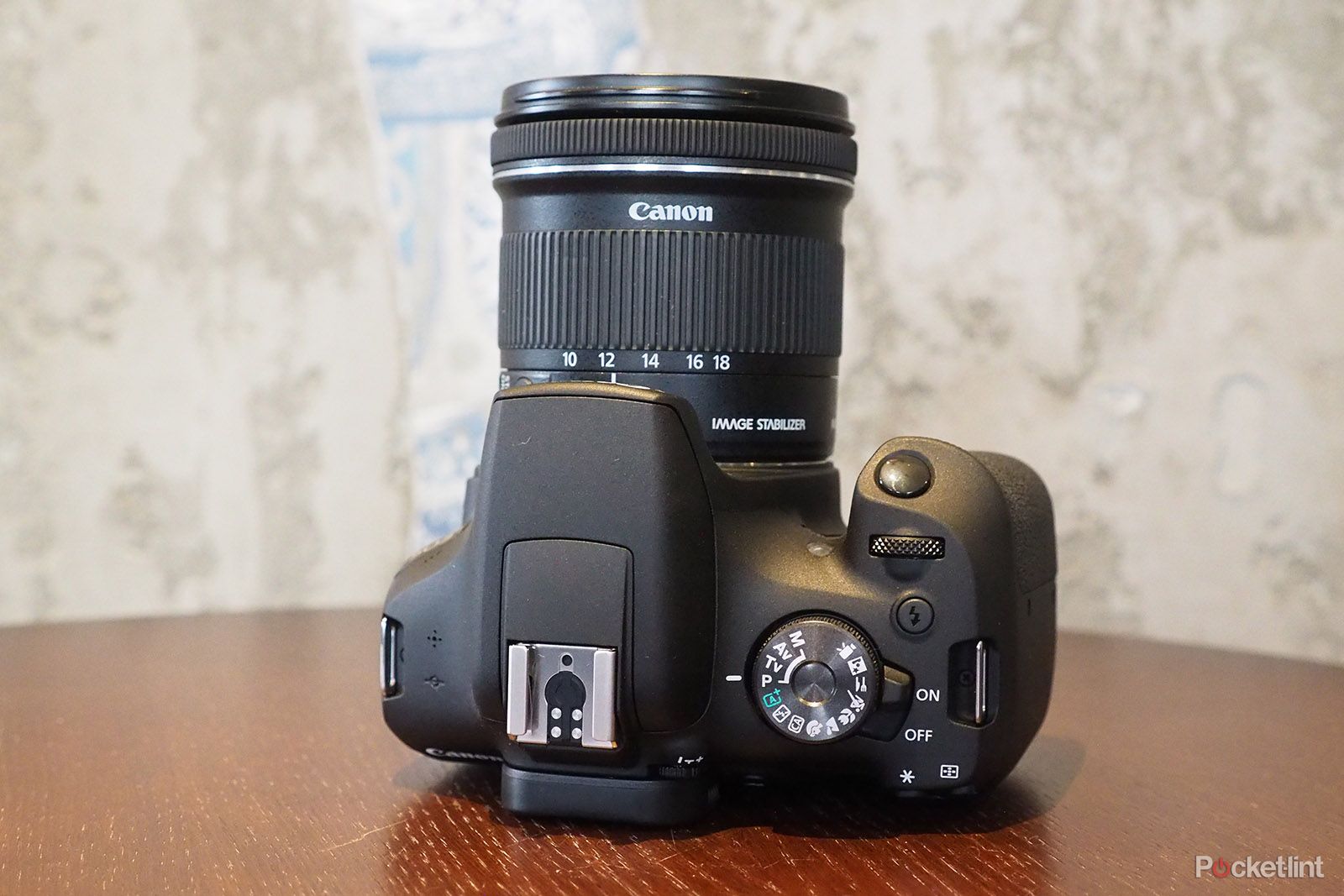 Canon EOS 2000D review image 2