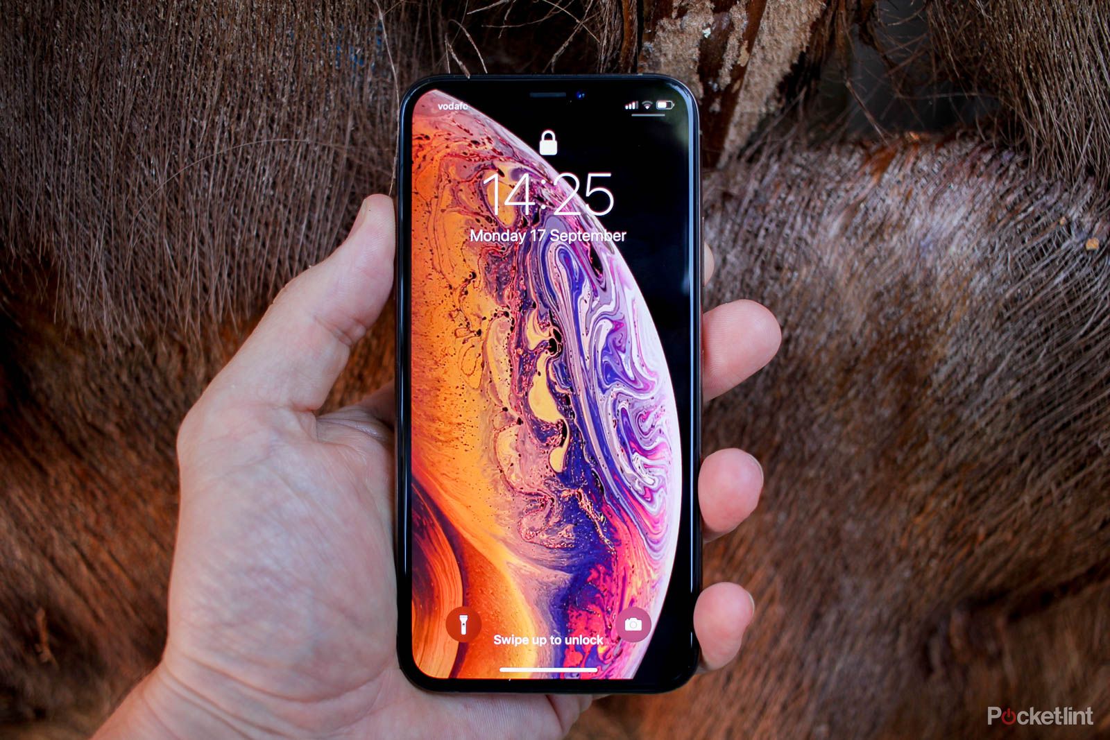 Apple iPhone XS review The safe update image 1