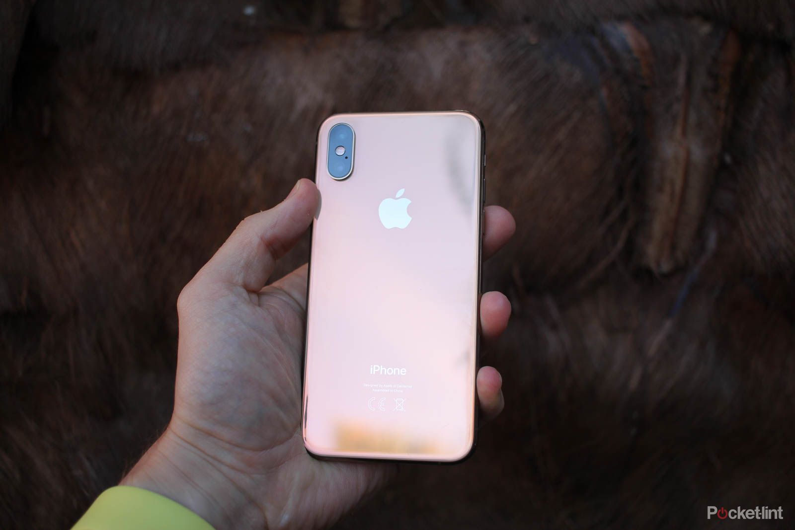 Apple iPhone XS review The safe update image 15
