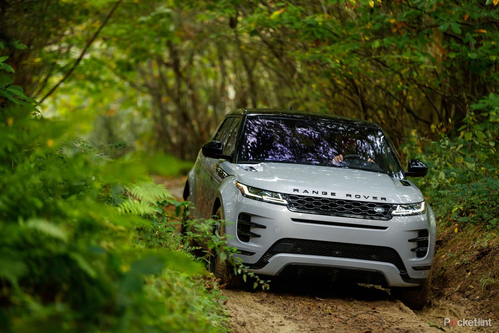 New Range Rover Evoque image 1