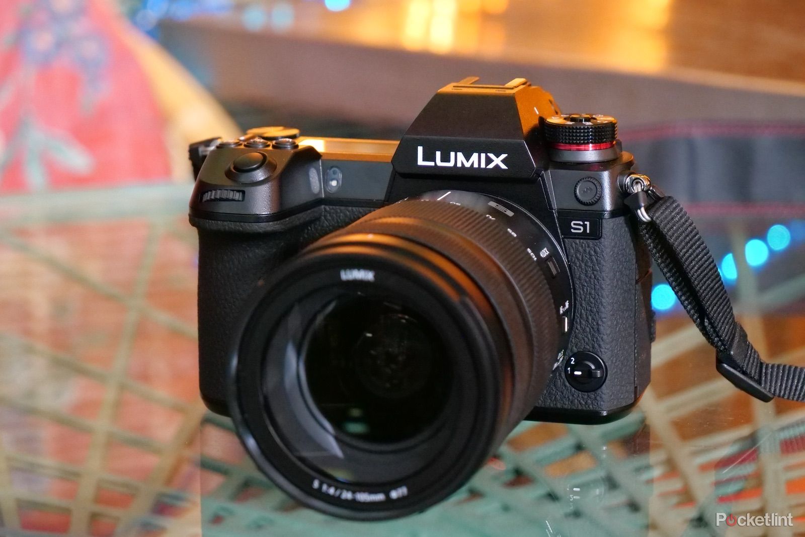 Panasonic Lumix S1 review image 1