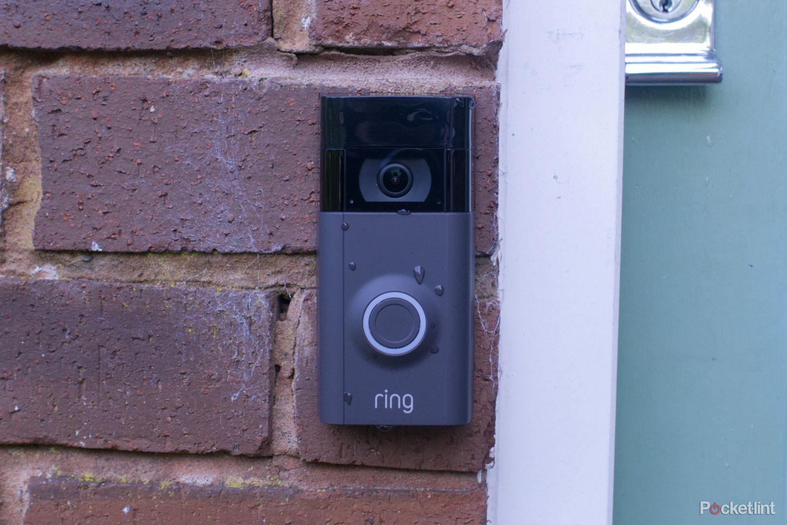 How to Turn off Ring Doorbell — Easy Step-by-Step Guide – Wasserstein Home