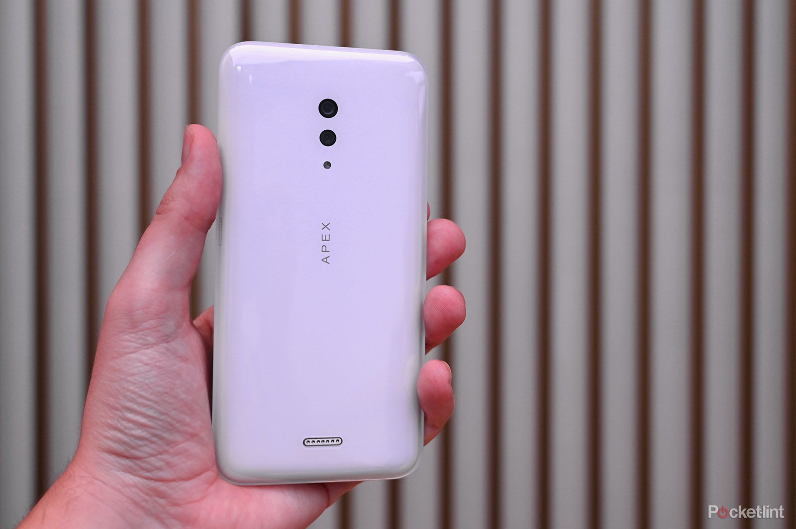 Vivo Apex 2019 concept phone review image 1