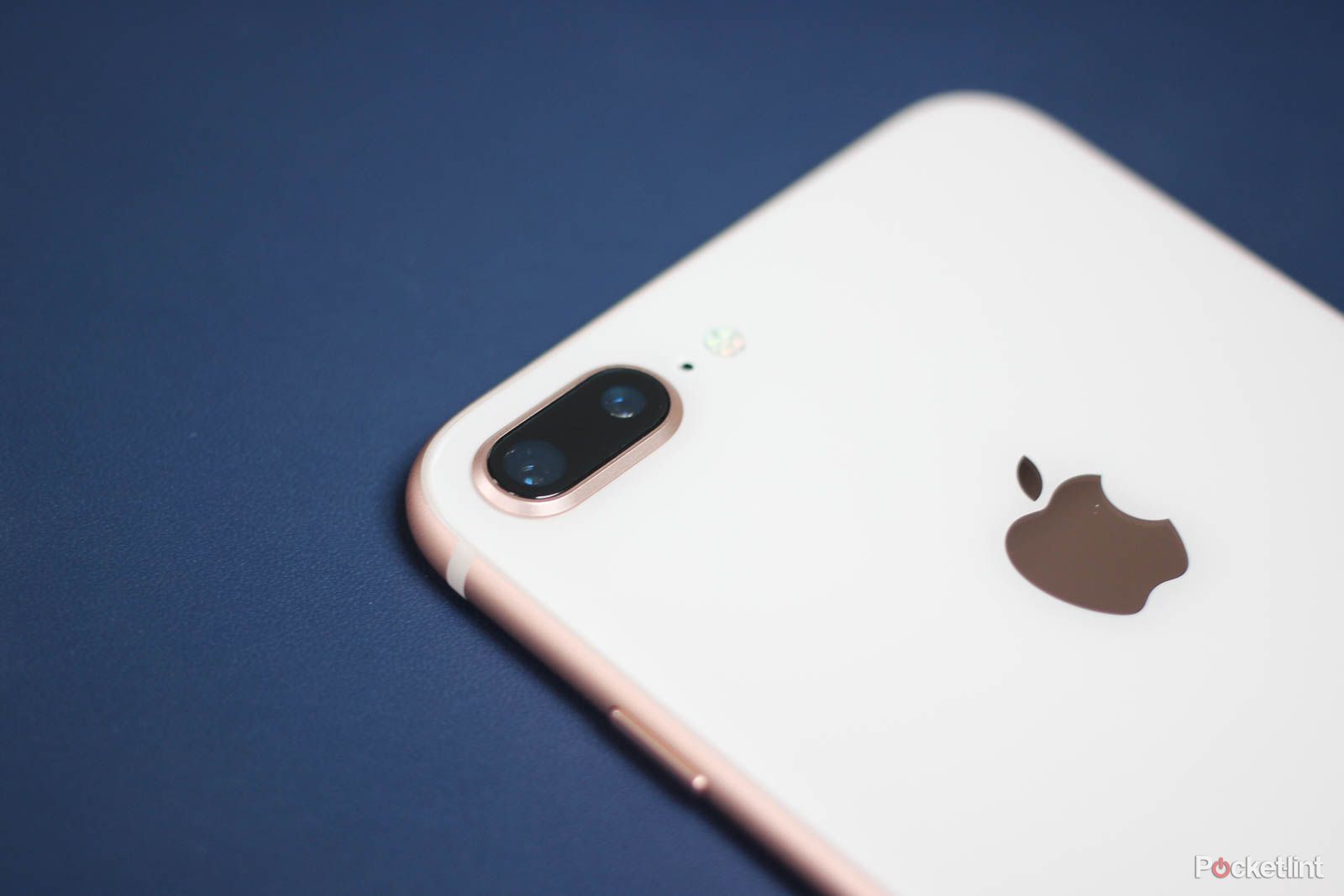 A cheap iPhone is again rumoured using iPhone 8 tech image 1