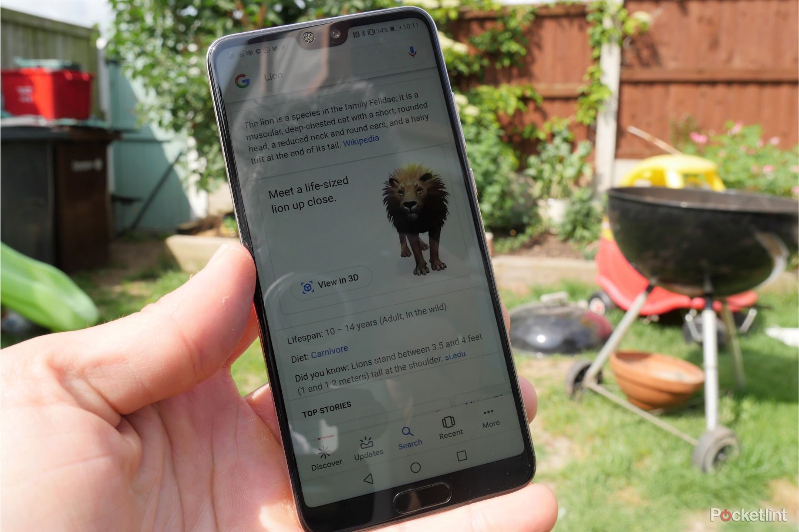 Google search results now include augmented reality creatures image 3