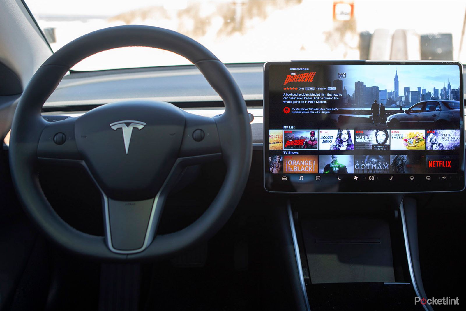 Netflix And Tesla image 1