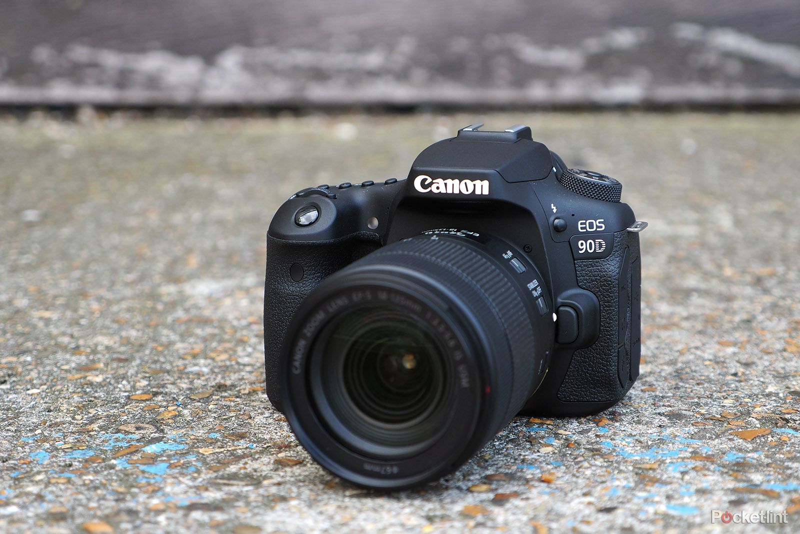 Canon EOS 90D review image 1