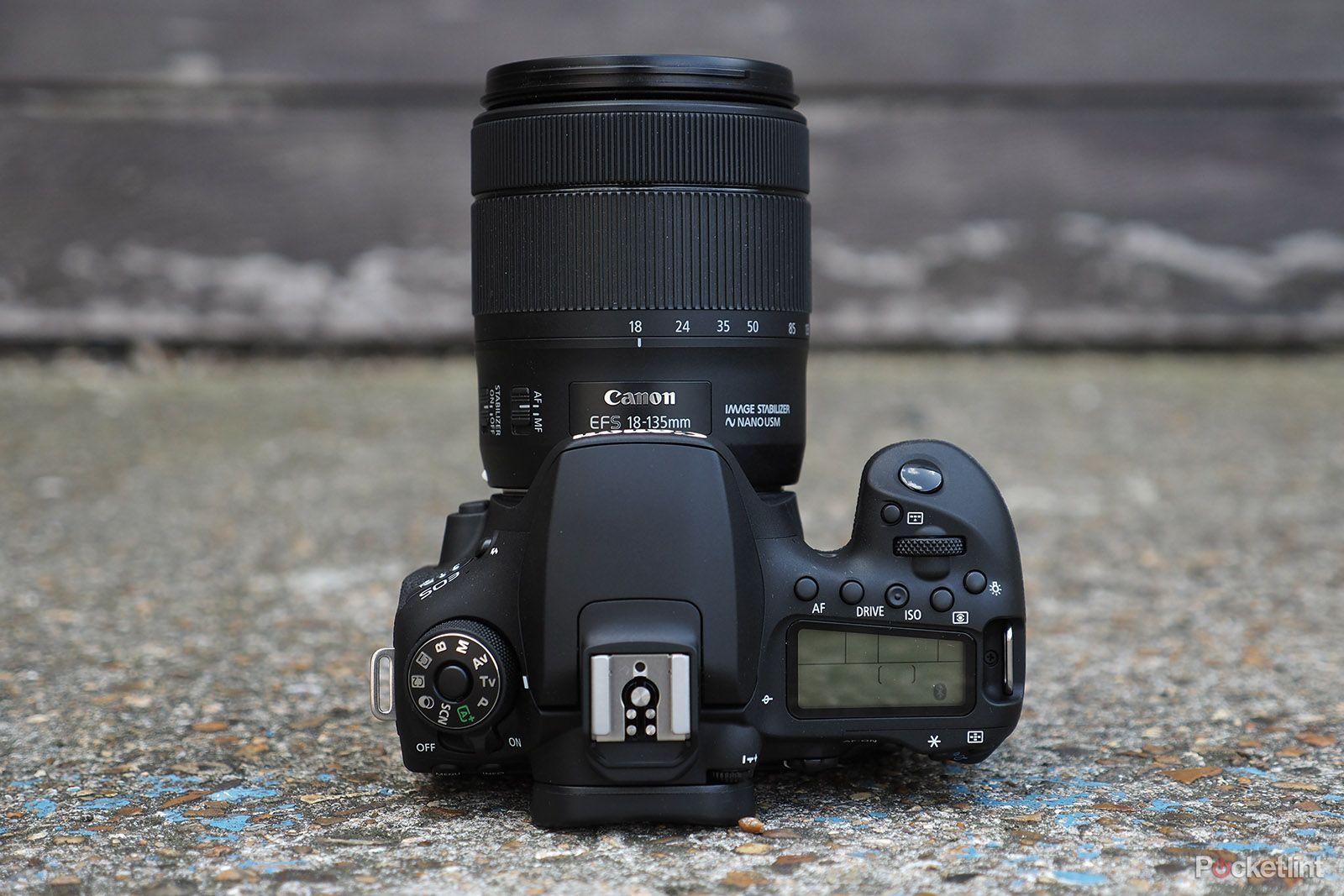 Canon EOS 90D review image 2