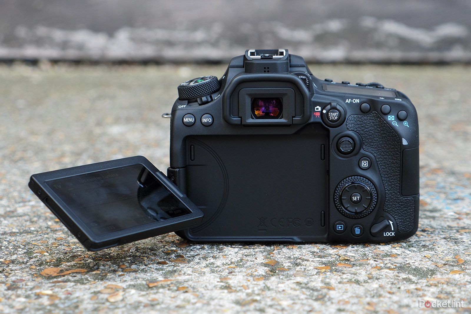 Canon EOS 90D review image 4