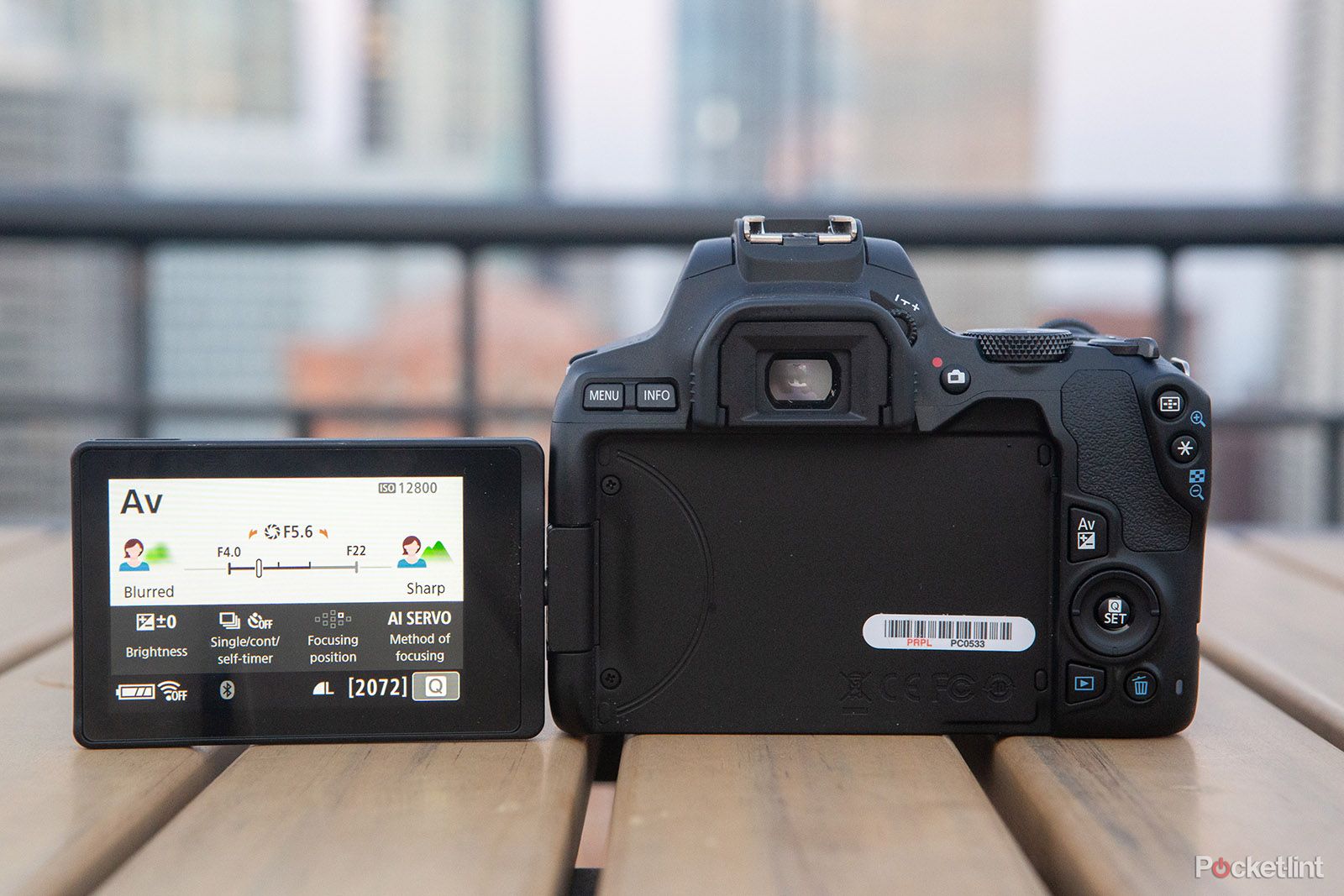 Canon EOS 250D review image 5