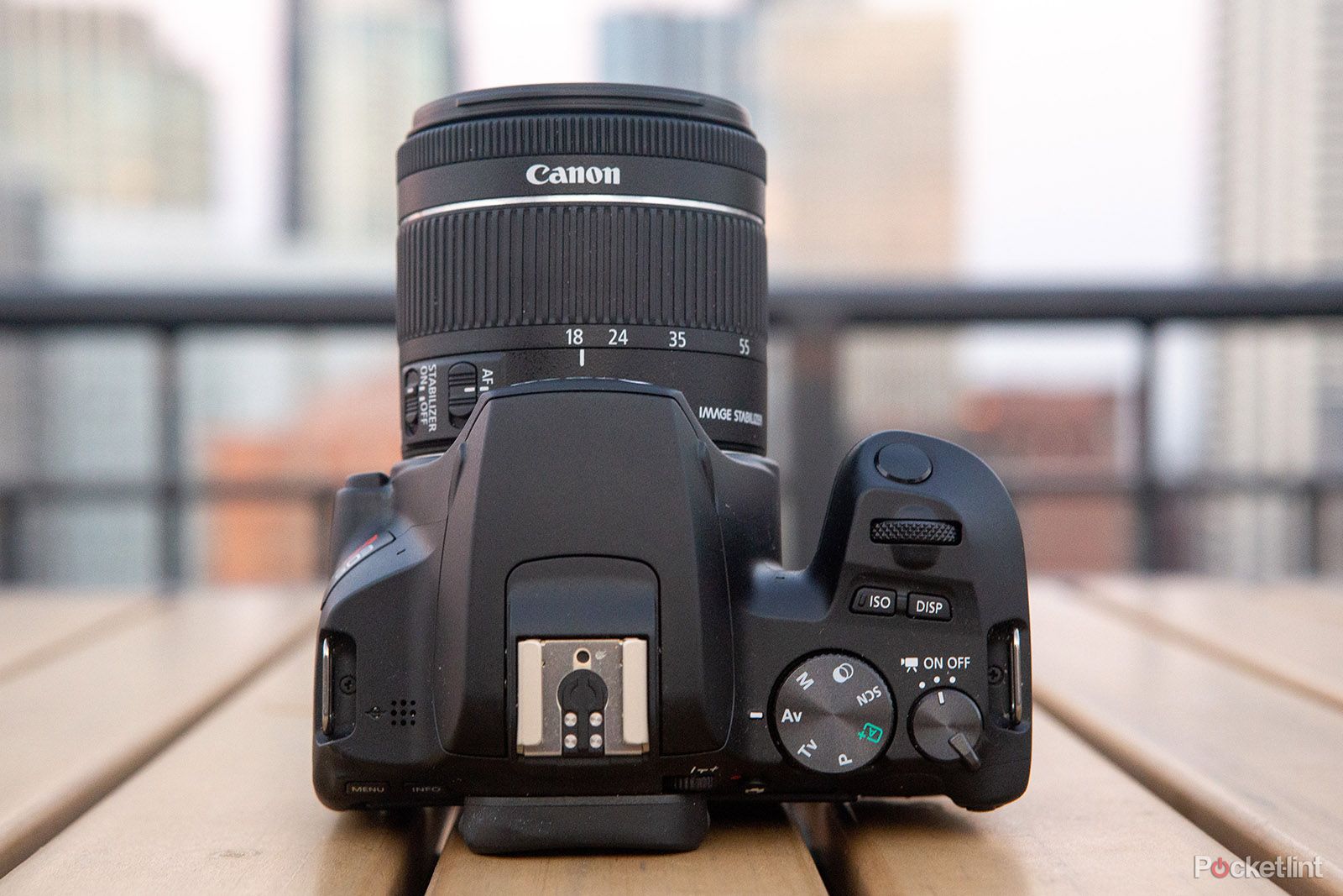 Canon EOS Rebel SL3 / EOS 250D review