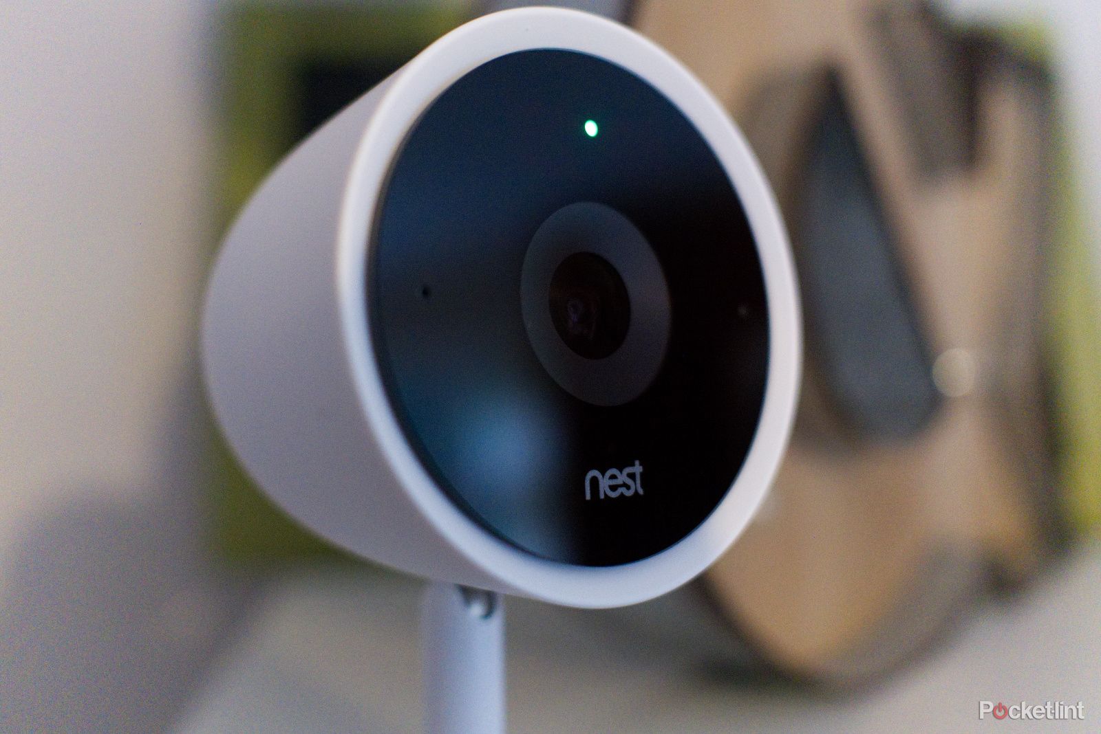 Which Google Nest Camera Is Right For You Nest Hello Vs Nest Cam Iq Vs Nest Cam image 3