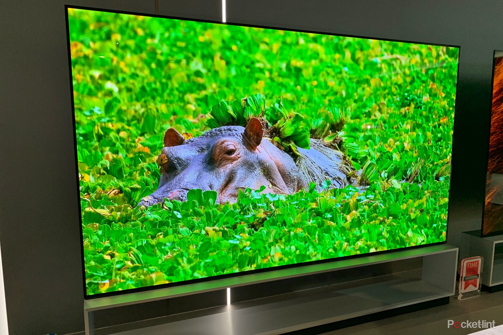 LG Signature OLED ZX 8K TV Bringing the wow factor image 1