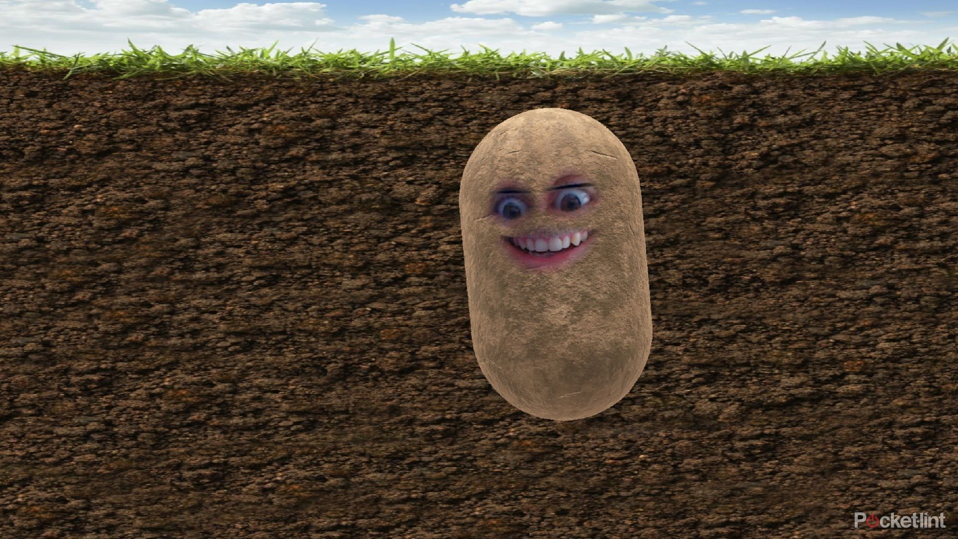 How to turn yourself into a potato and other things for Zoom meetings Teams calls and more image 1