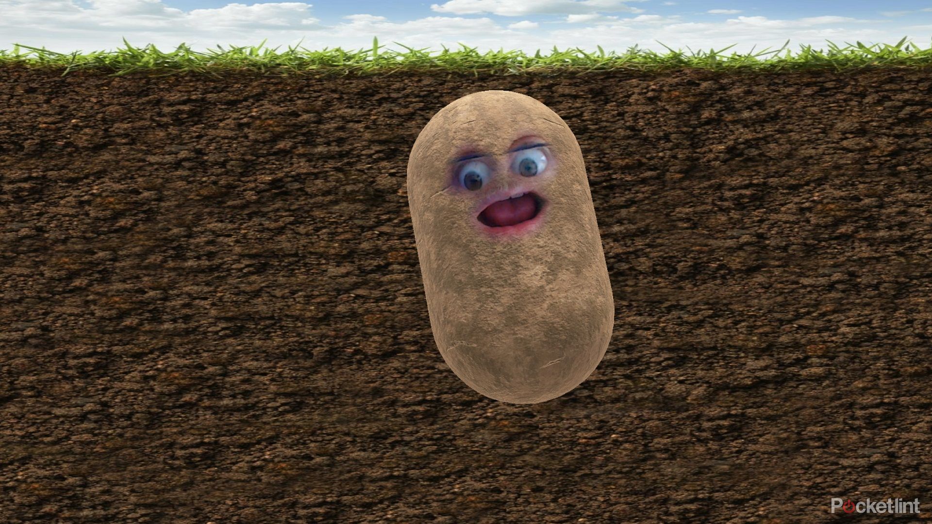 How to turn yourself into a potato image 1