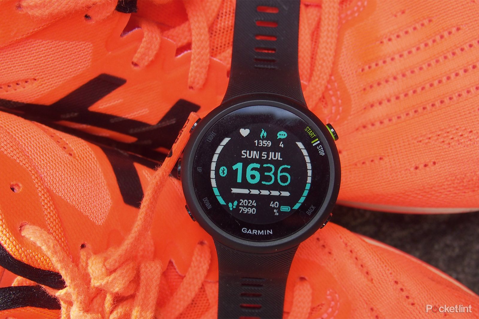 Garmin Forerunner 45 Review  GPS Watch For Runners 