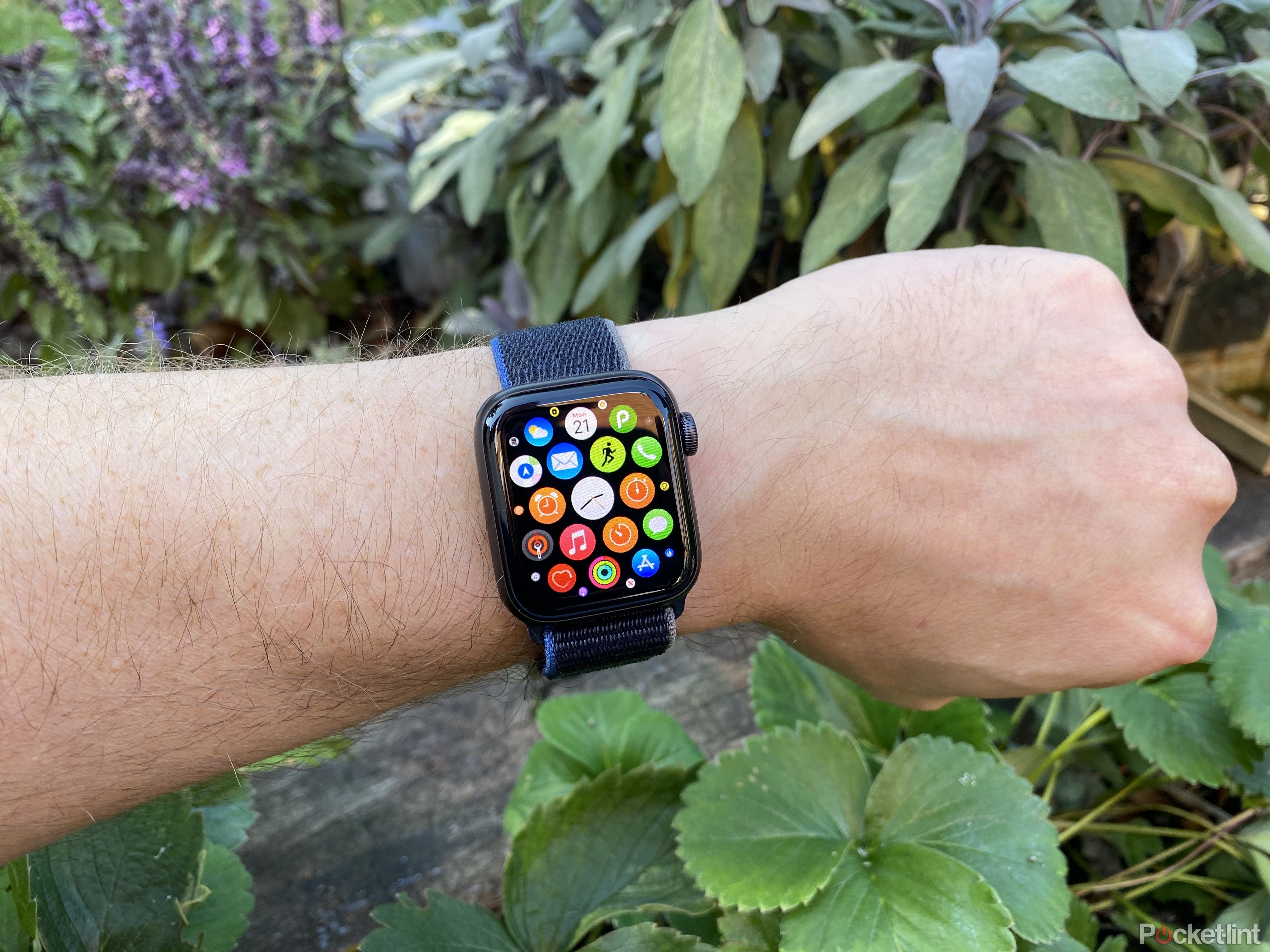 Apple Watch SE review: The Apple Watch most people will buy photo 4