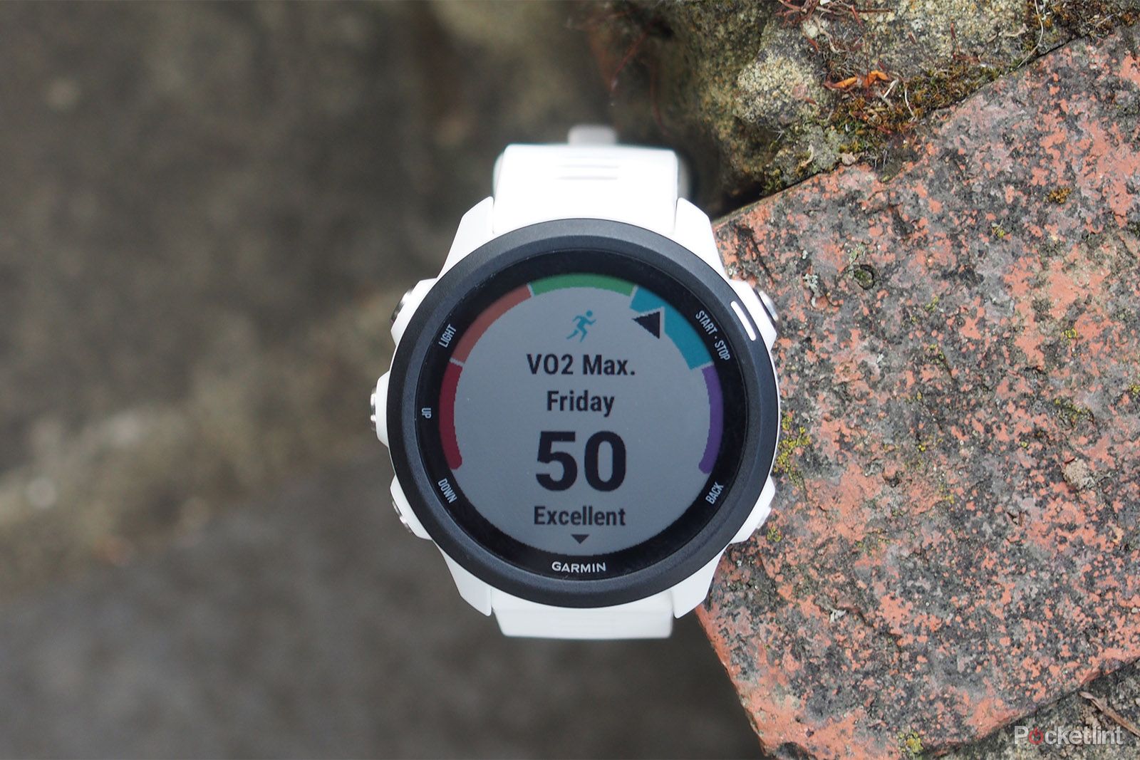 Excellent Garmin Forerunner 245 hits its lowest price in Black Friday sales photo 1