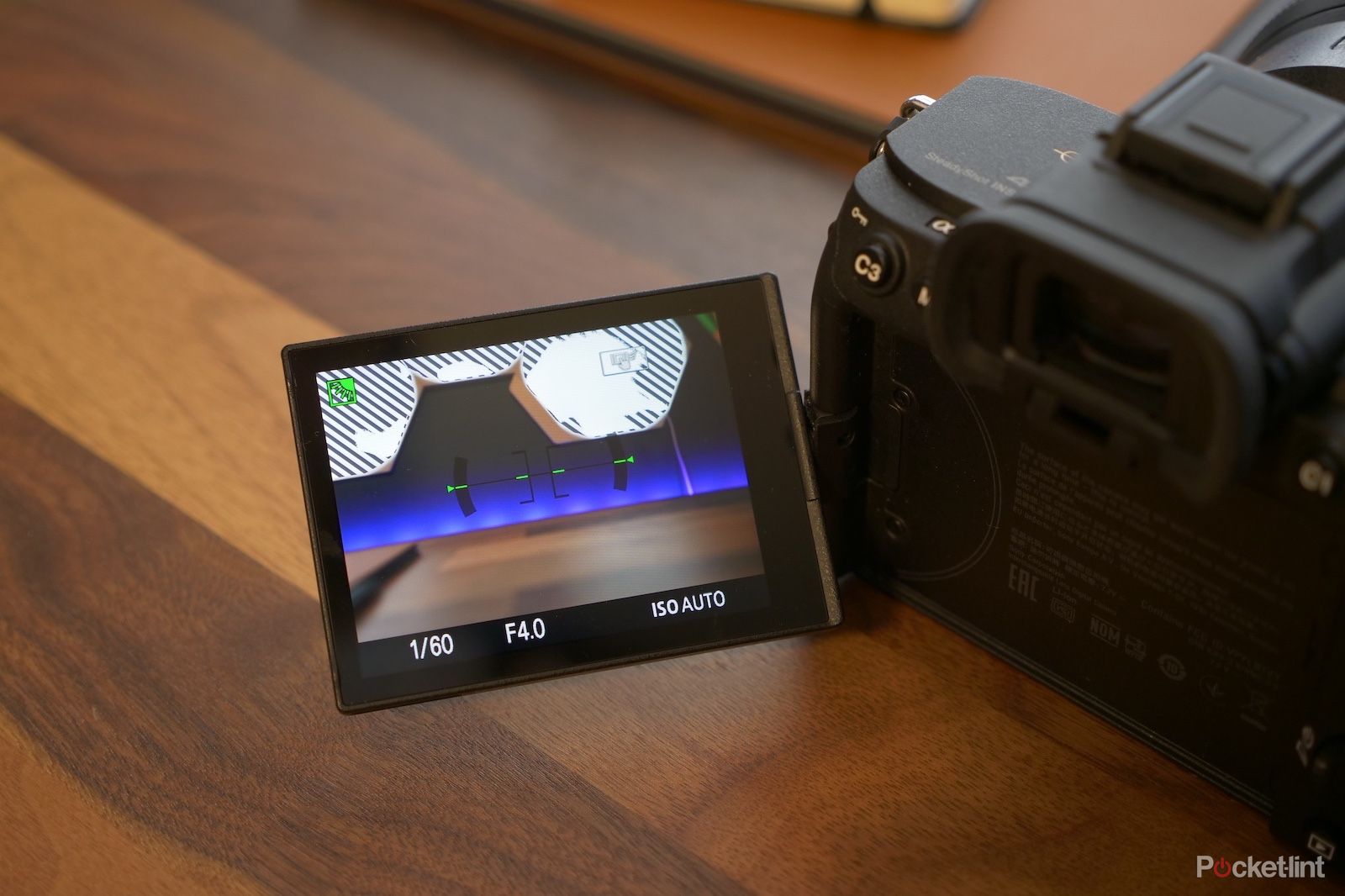 Sony A7S III review photo 8