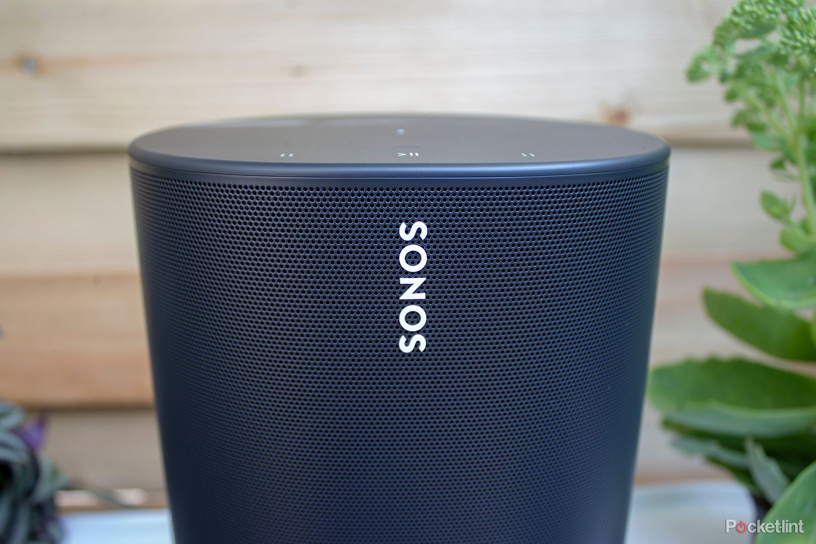 What will Sonos launch in March? Here's what we think photo 1