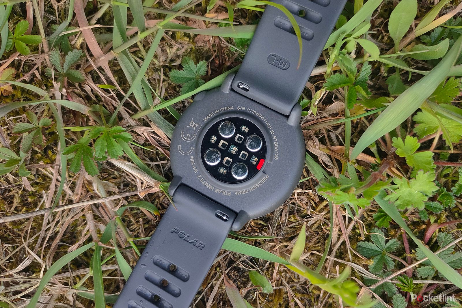 POLAR IGNITE 2 Review: Can't Get Over This 