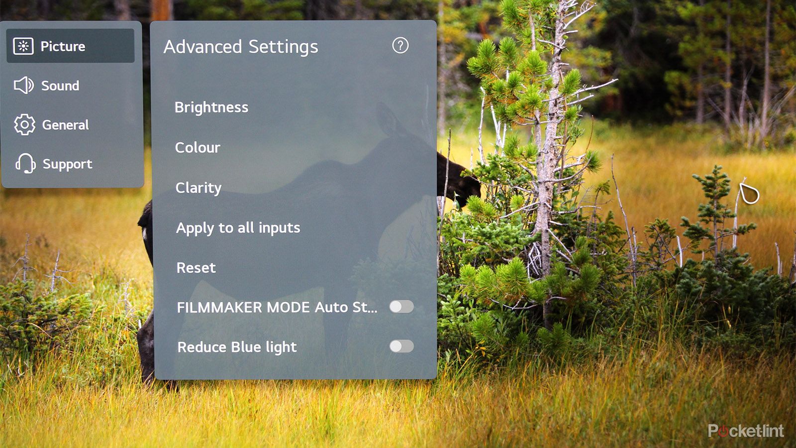 LG C1 OLED 4K TV review photo 8
