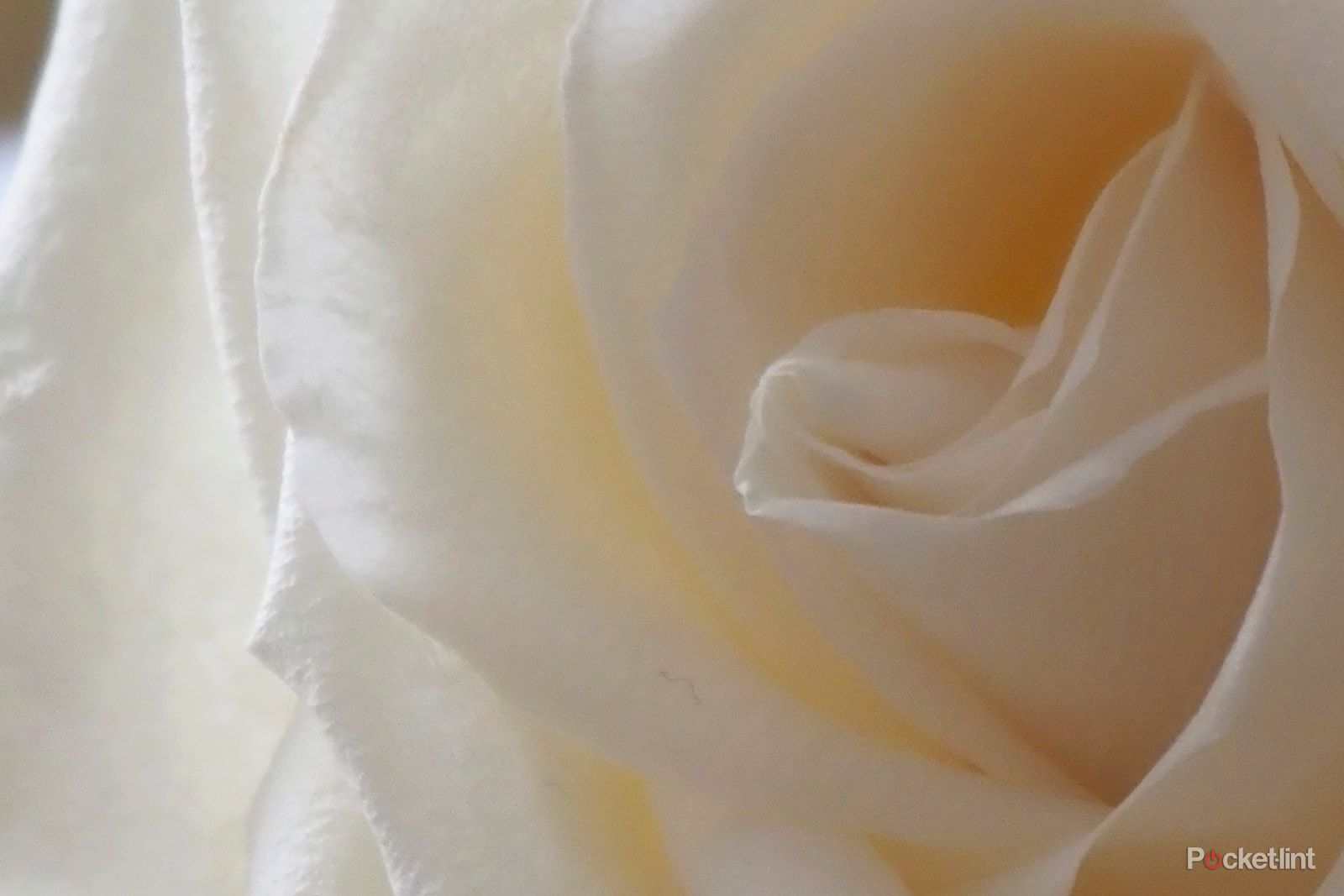 Olympus E-P7 review: All about that retro style