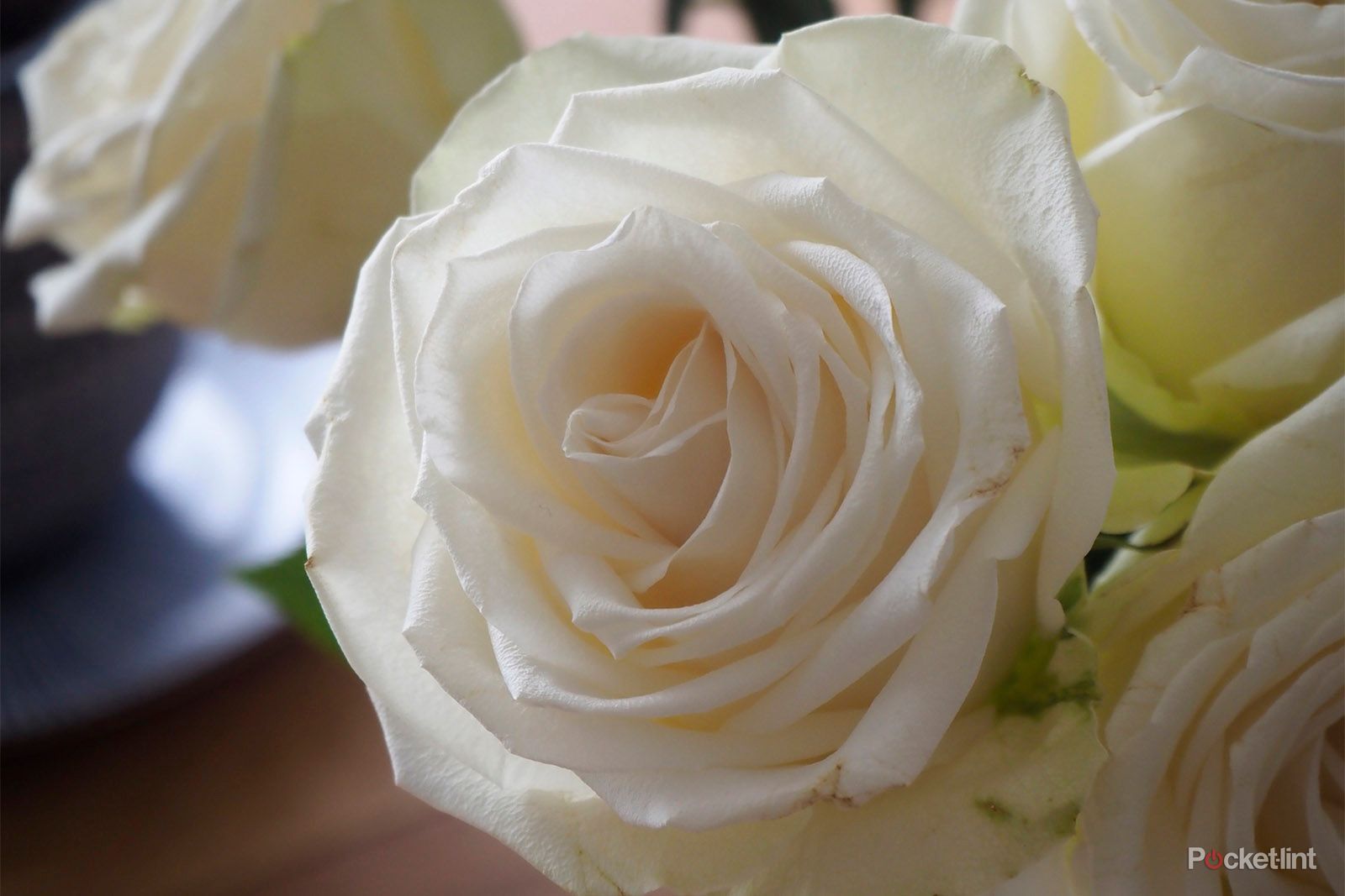 Olympus E-P7 review: All about that retro style