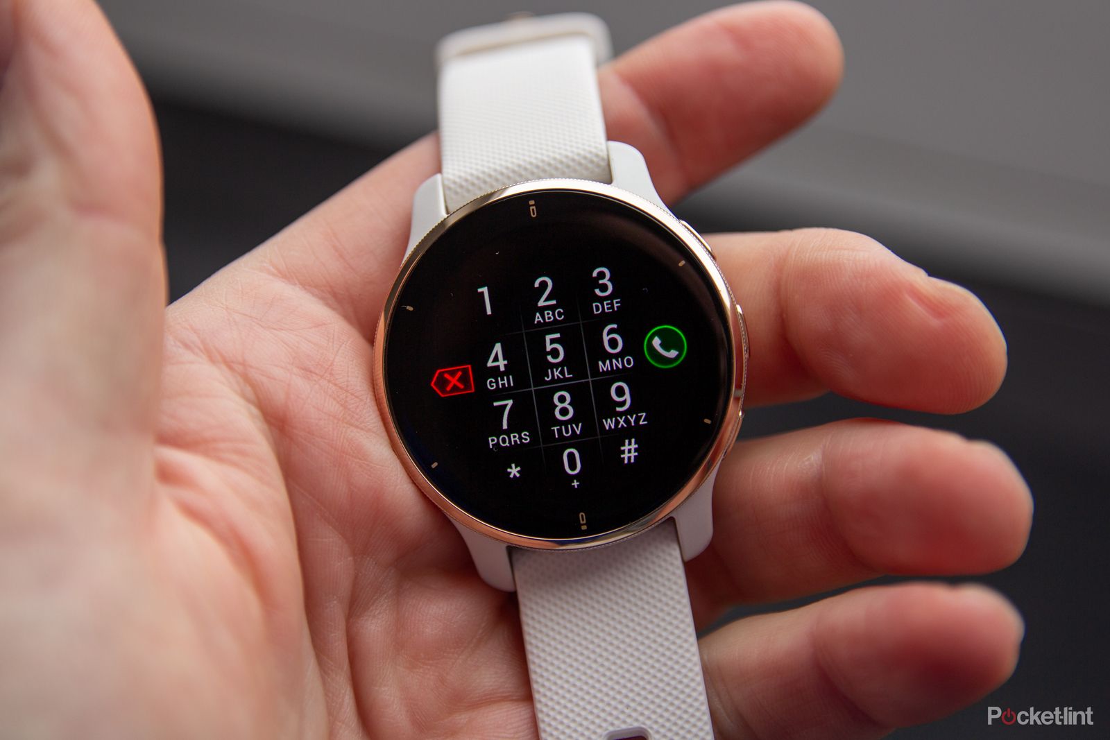 Garmin Venu 2 Plus review: The first real Garmin smartwatch