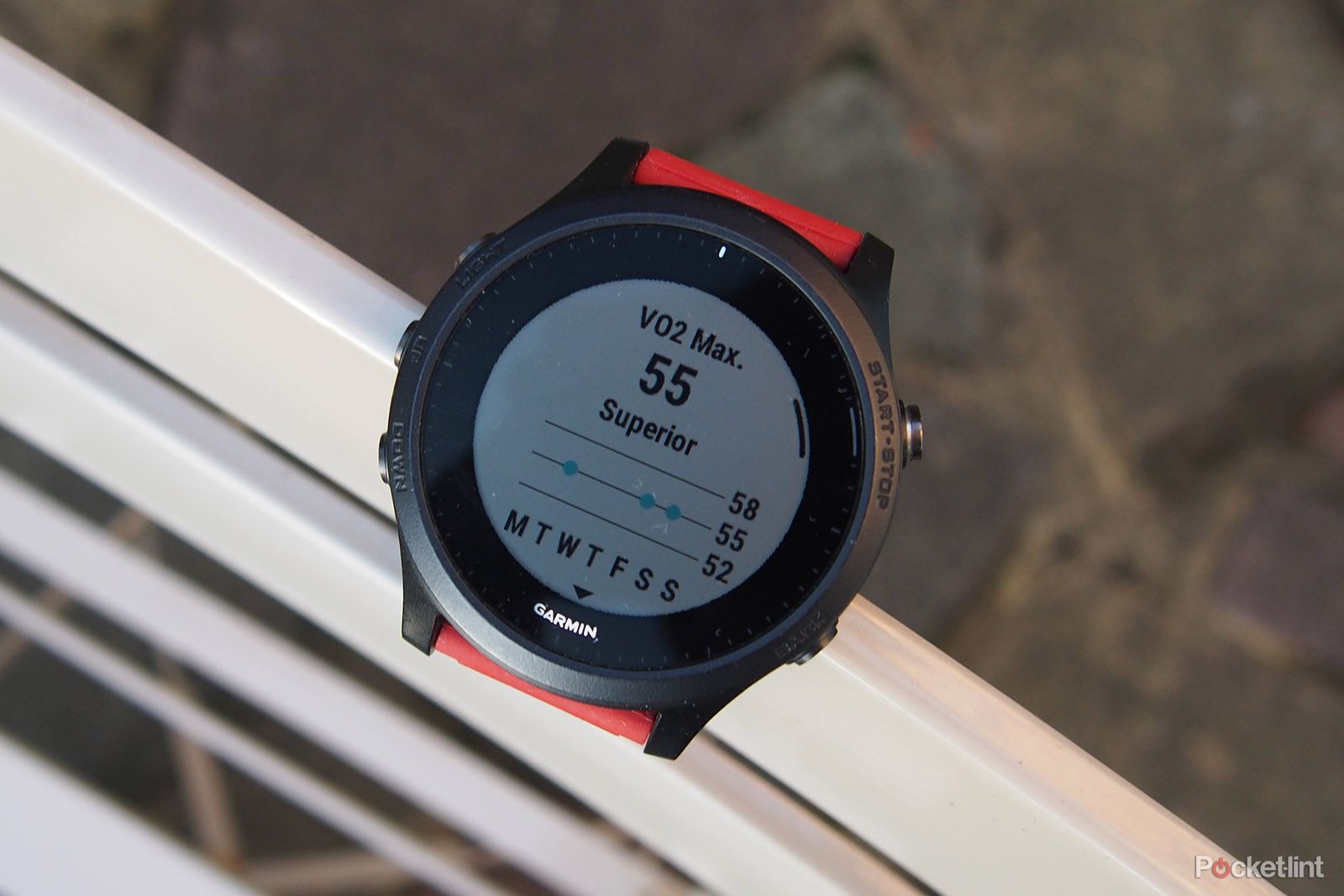 Garmin Forerunner 955 leaks - listing for LTE bundle appears on official Garmin site photo 2