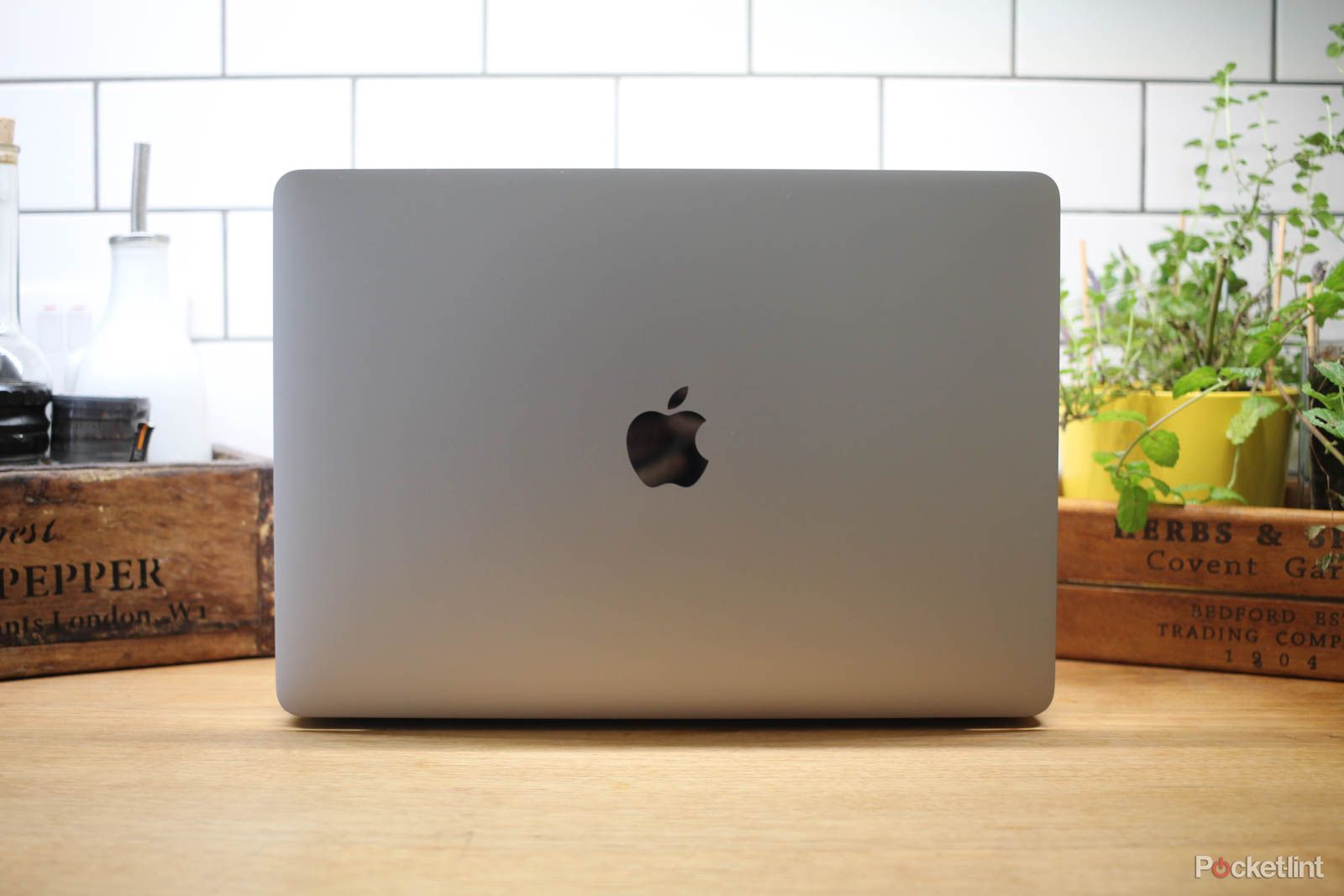 MacBook from the back with Apple logo