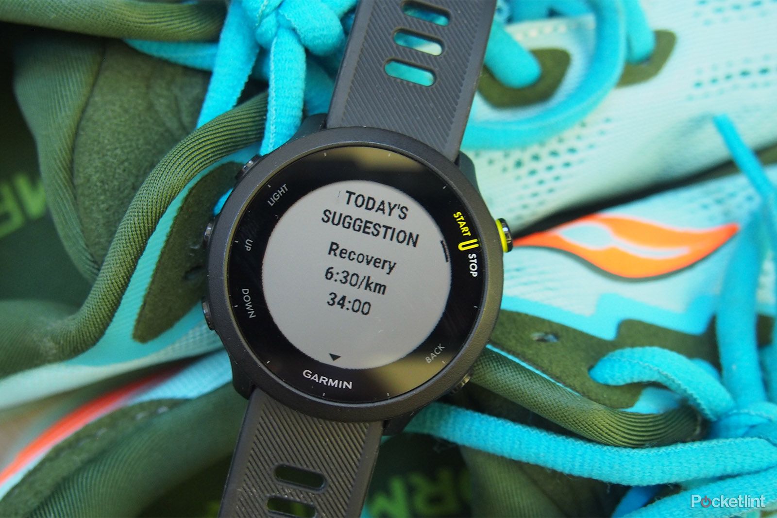 Garmin Forerunner 45 vs. 55: Which Should You Pick?