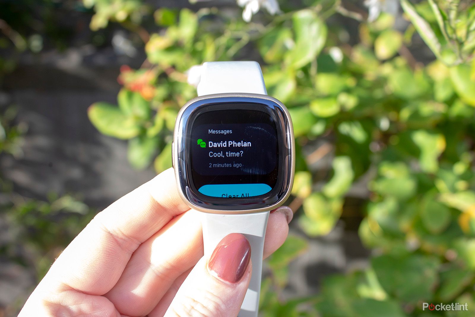 Fitbit Sense 2 review: Excellent health watch photo 13