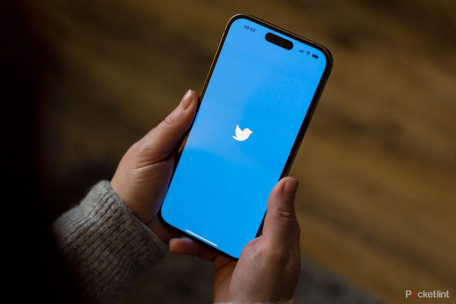 Twitter logo on blue background on an iPhone 14 Pro Max
