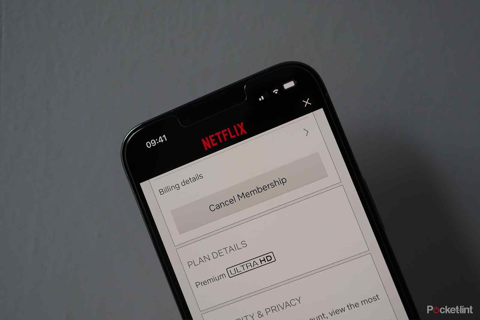 How to cancel Netflix