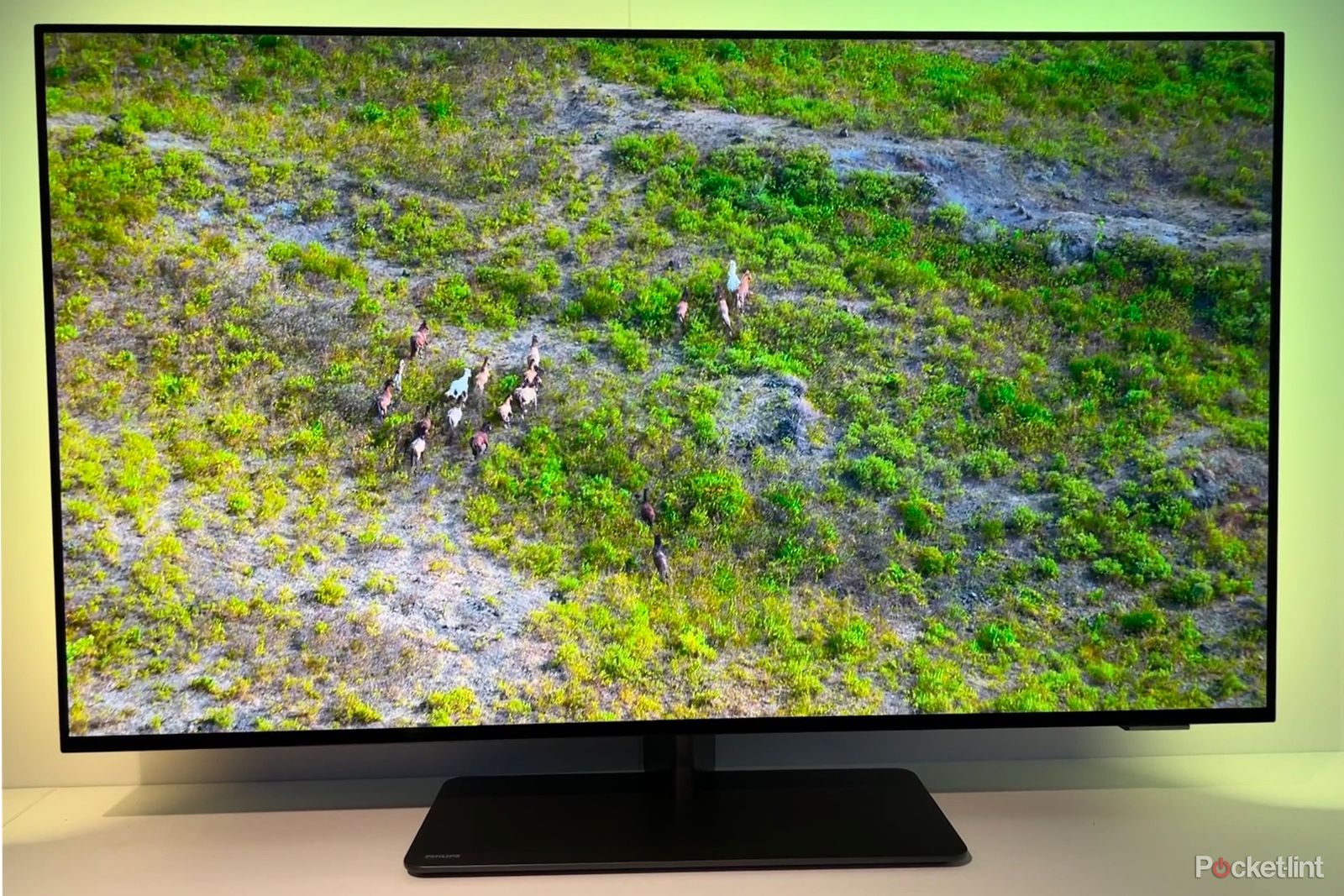 Philips Ambilight OLED+, OLED and LED TVs