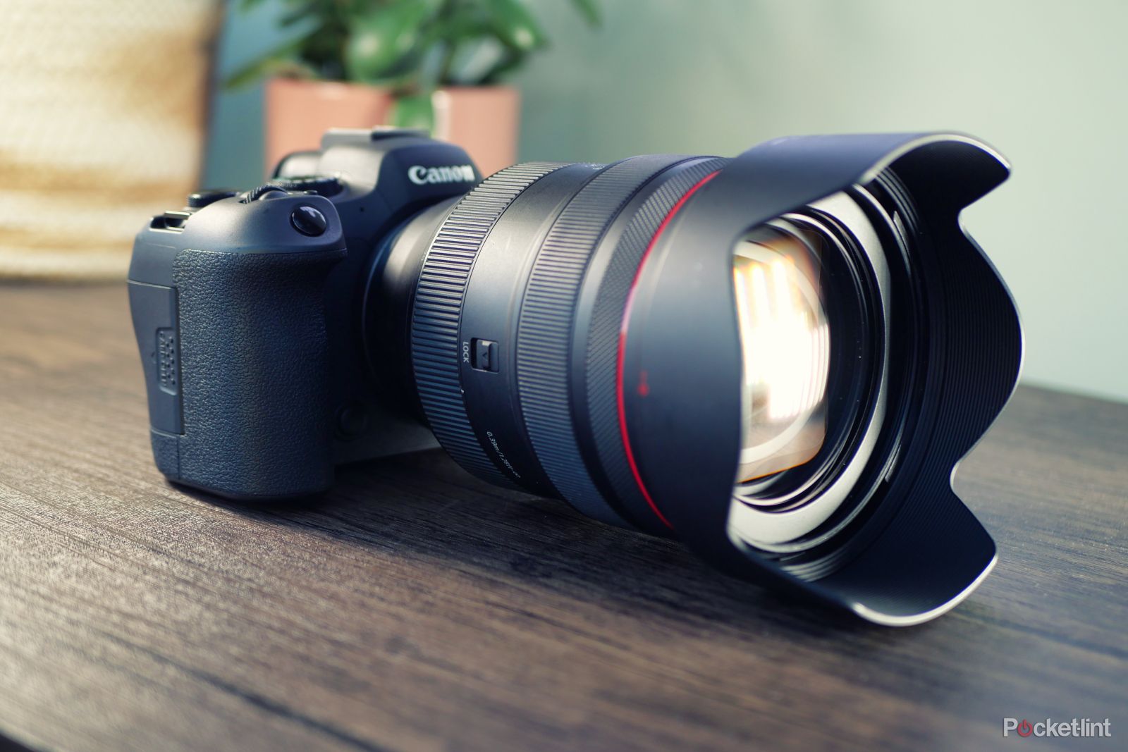 Canon EOS R6 Mark II review: Jack of all trades