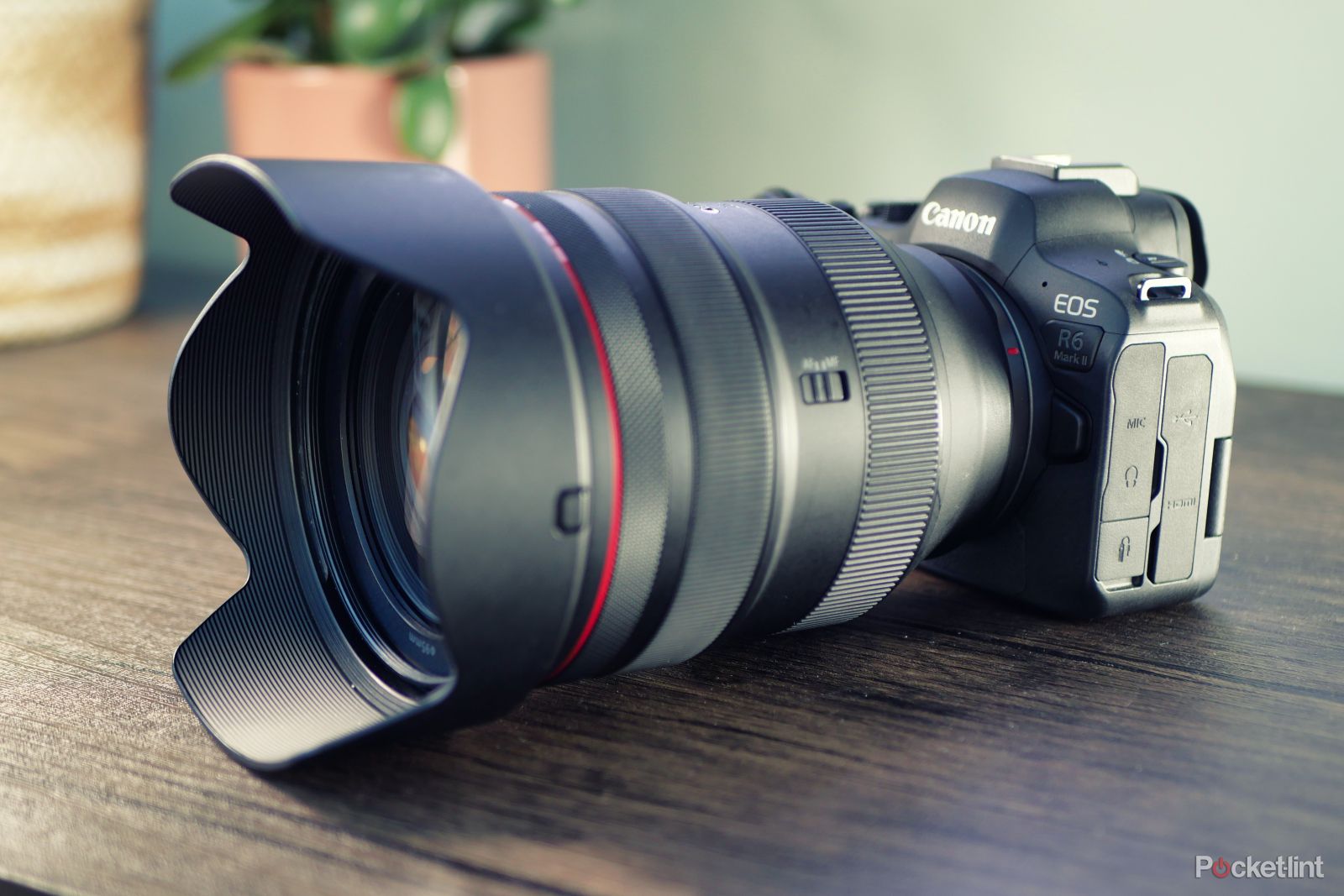 Canon EOS R6 mark II (2)