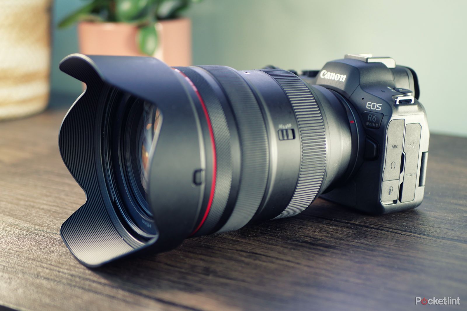 Canon EOS R6 Mark II - Game Changer 