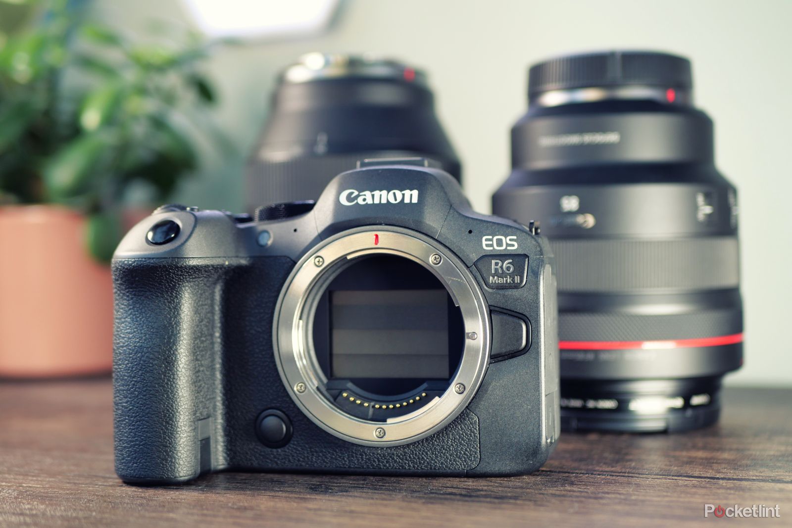 Canon EOS R6 Mark II review: Jack of all trades