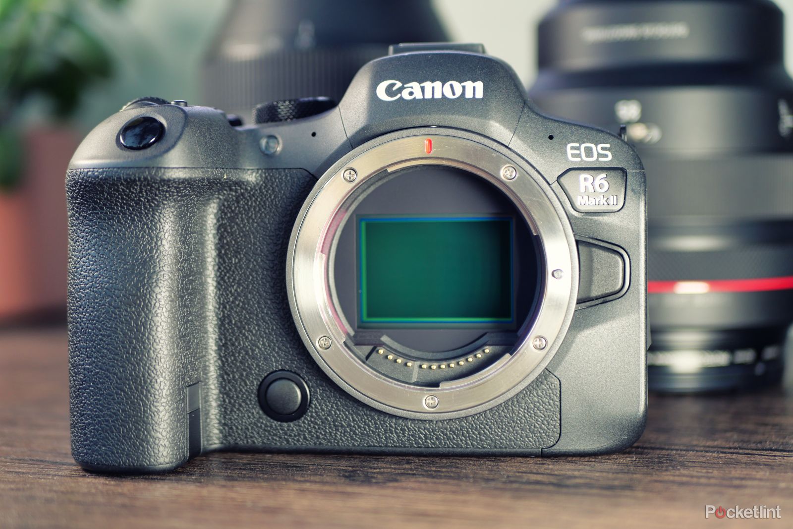 Canon EOS R6 Mark II Review: Full-featured Camera, Capable of Still  Photography and Movie Production - PRONEWS