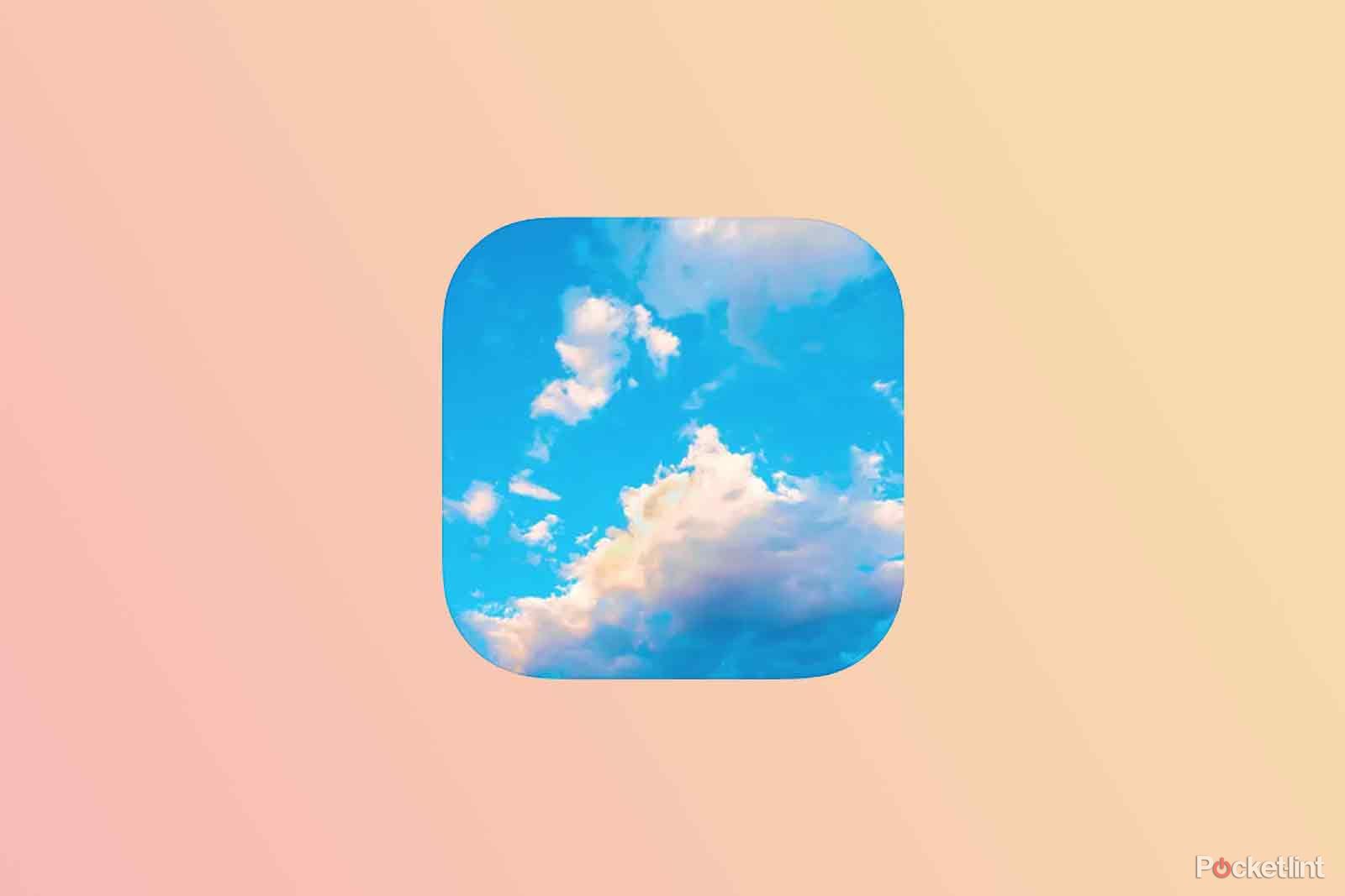 What is Bluesky? Everything to know about the app trying to replace Twitter