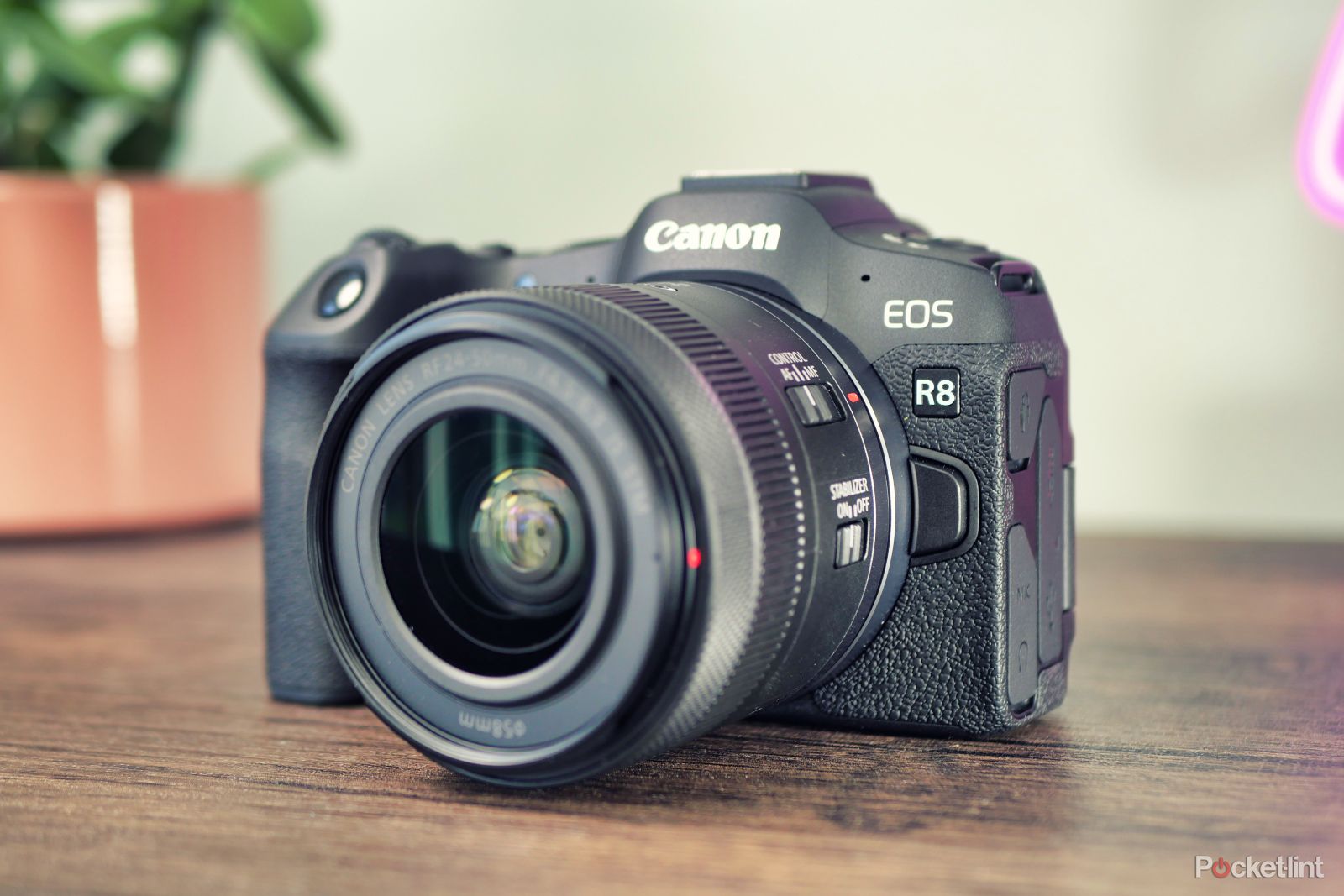 Canon EOS R8 review: Punching above its weight