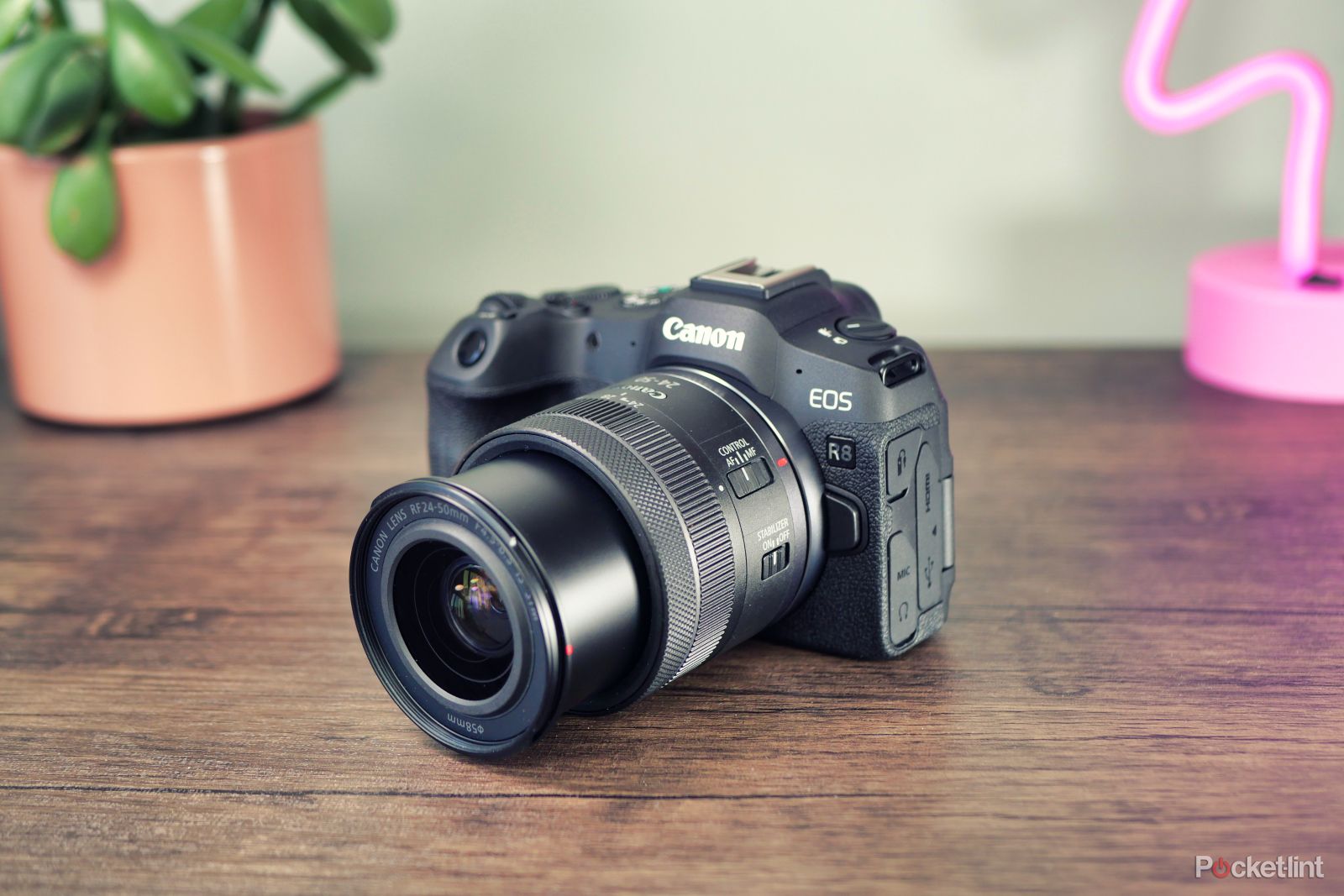 Canon EOS R8 review: A compact hybrid camera for beginners