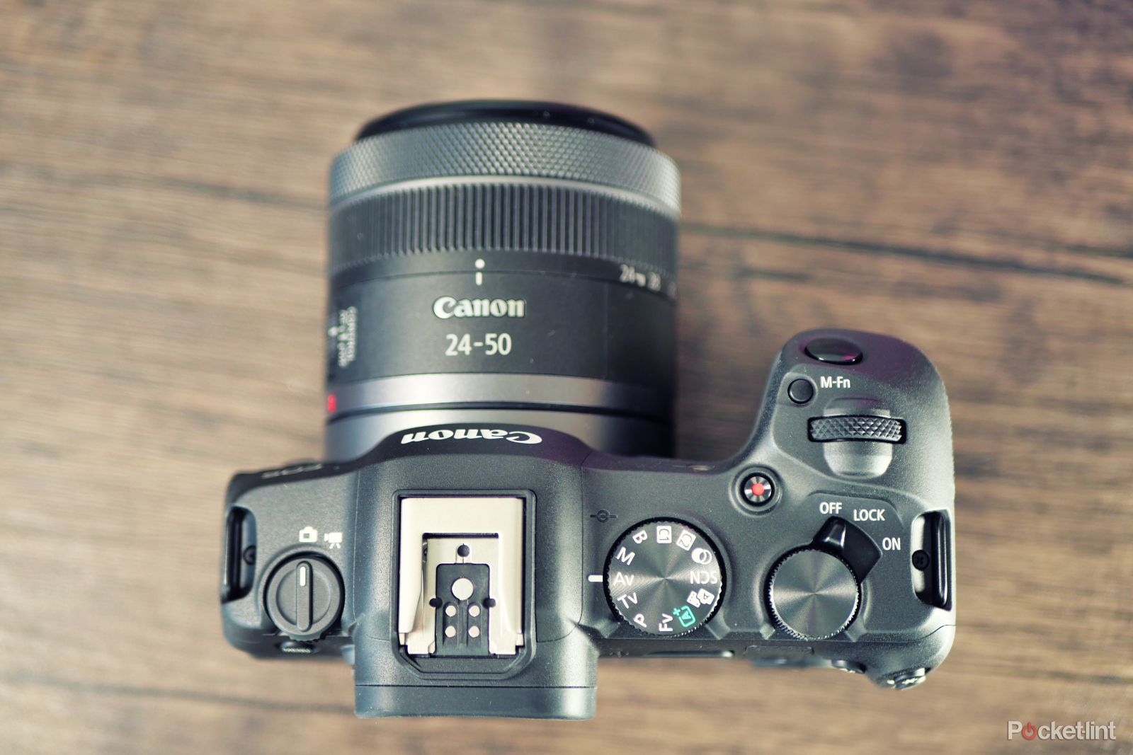 Canon EOS R8 (5)