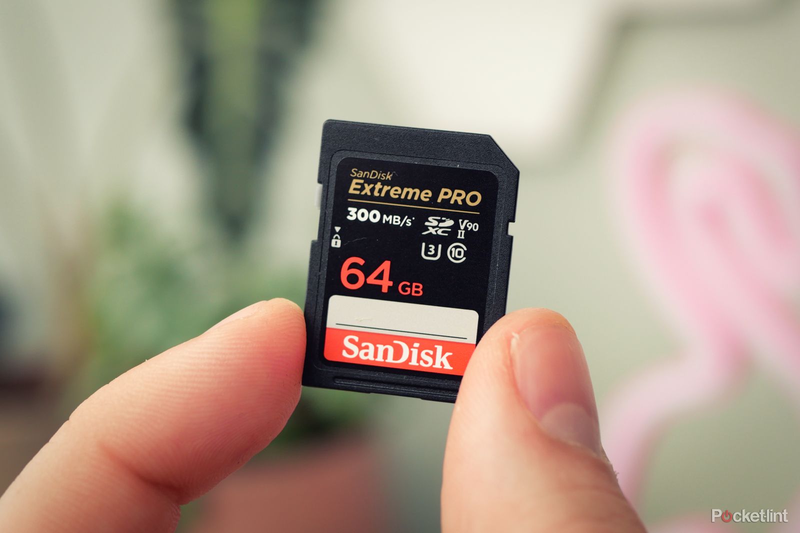 Best SD cards: Top storage options for your mirrorless camera or DSLR