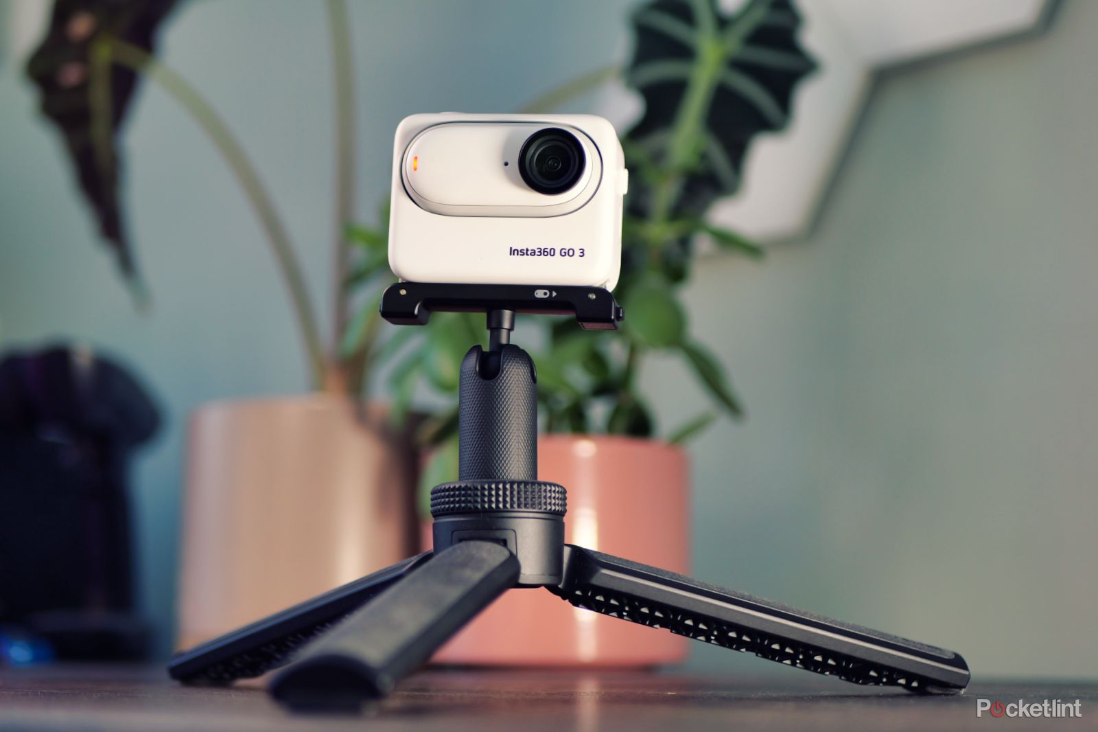 Insta360 Go 3 review: Small camera, big possibilities