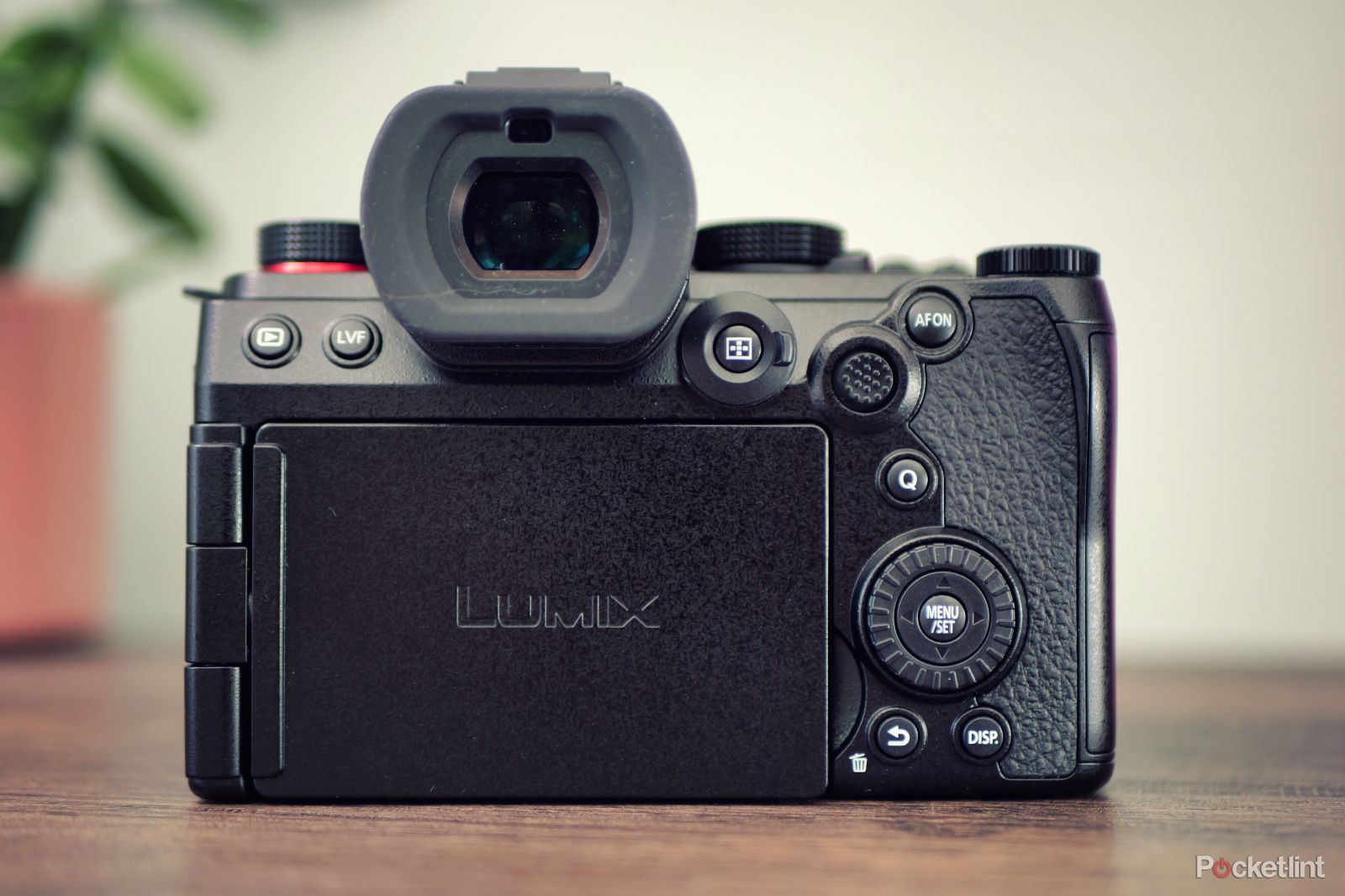 Panasonic Lumix S5II (5)