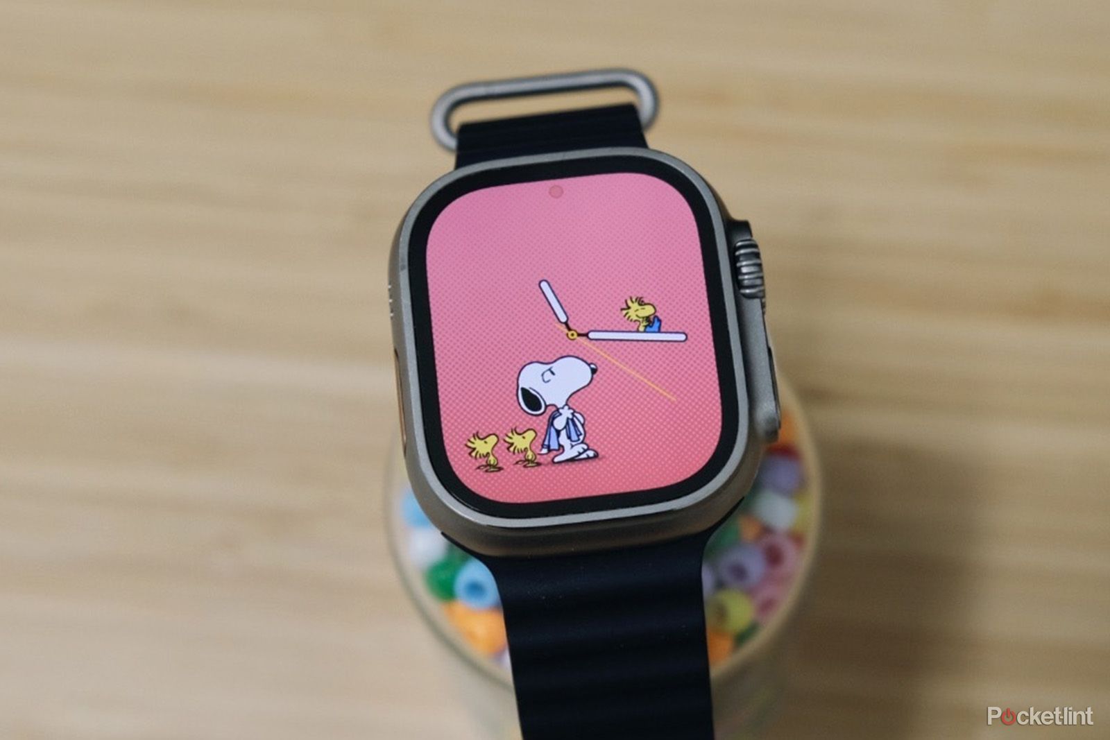 Birds Spring Apple Watch Band