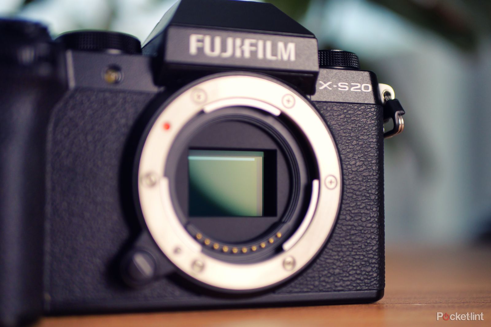 Fujifilm X-S20 (28)